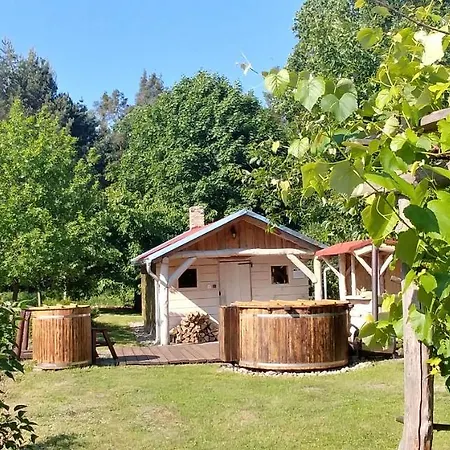Dog Hub - Przyjedz Z Psem