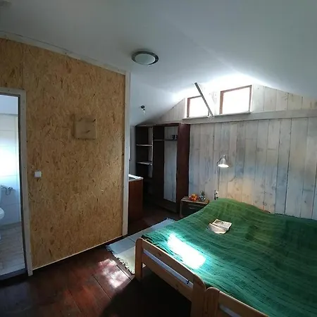 Dog Hub - Przyjedz Z Psem