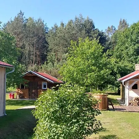 Dog Hub - Przyjedz Z Psem