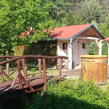 Dog Hub - Przyjedz Z Psem *